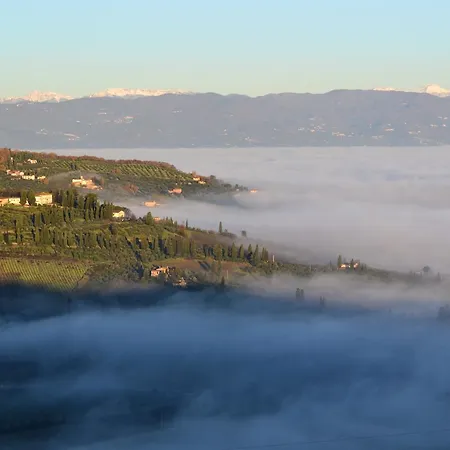 Tenuta Di Capezzana Bed and Breakfast