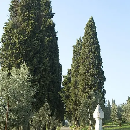 Tenuta Di Capezzana * Seano