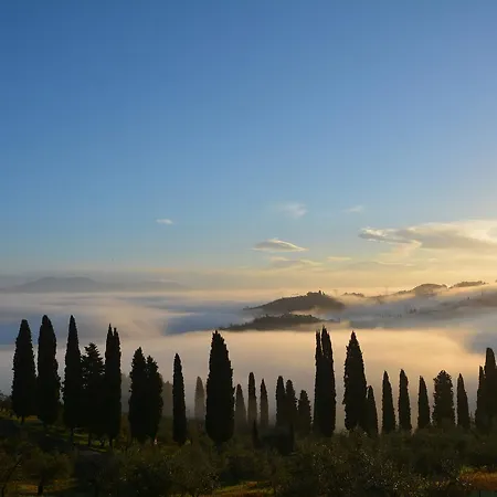 Tenuta Di Capezzana *