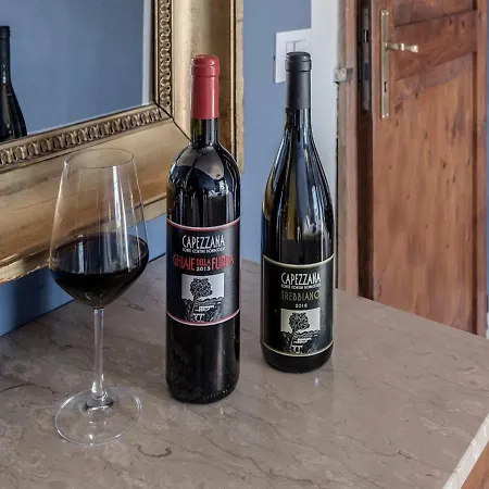 Tenuta Di Capezzana Bed and Breakfast Seano