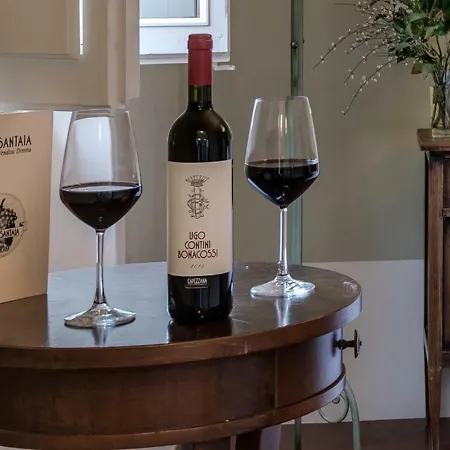 Bed and Breakfast Tenuta Di Capezzana *