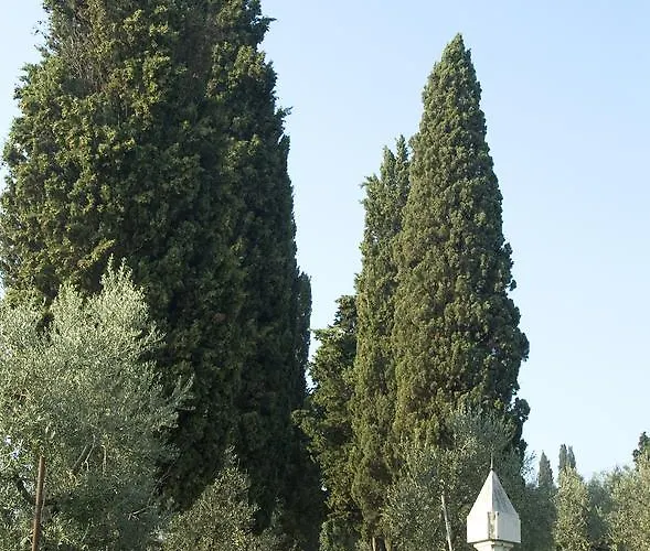 Tenuta Di Capezzana * Seano