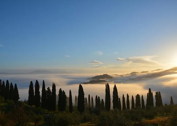 Tenuta Di Capezzana *