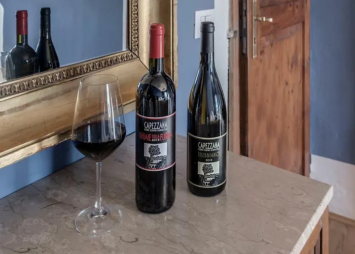 Tenuta Di Capezzana Nocleg ze śniadaniem Seano